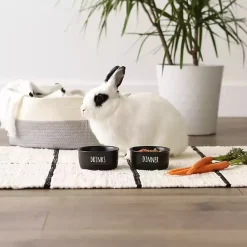 Kirklands Home Dinner & Drinks 2-pc. Pet Bowl Set, 4 in. Black Hot