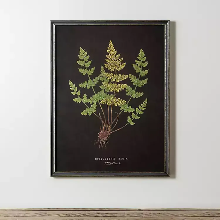 Kirklands Home Black Fern V Framed Art Print Clearance