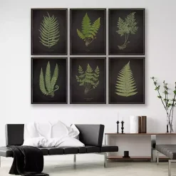 Kirklands Home Black Fern V Framed Art Print Clearance