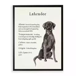 Kirklands Home Black Lab Facts Framed Wall Plaque Discount