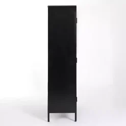Kirklands Home Metal & Glass 2-Door Bentley Cabinet Black Discount