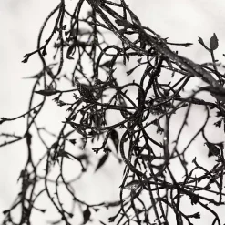 Halloween>Kirklands Home Twig Banner Garland Black