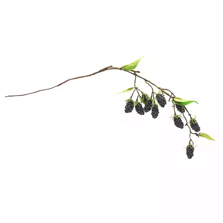 Stems & Bouquets>Kirklands Home Blackberry Vine Sprays, Set of 6