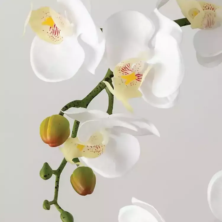 Arrangements & Greenery>Kirklands Home Blooming White Orchid Potted Floral Arrangement