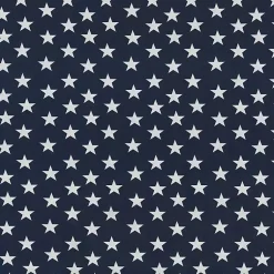 Kirklands Home Blue and White Stars Outdoor Pillows, Set of 2 Clearance