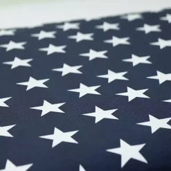 Kirklands Home Blue and White Stars Outdoor Pillows, Set of 2 Clearance