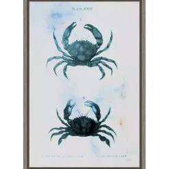 Kirklands Home Blue Bay Crabs Framed Canvas Art Print New