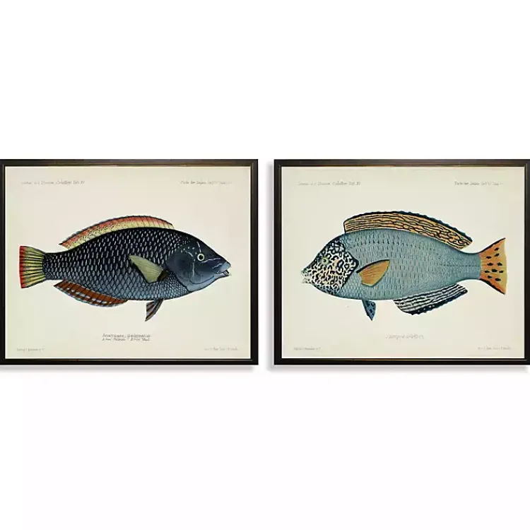 Kirklands Home Blue Fish Framed Art Prints, Set of 2 Sale