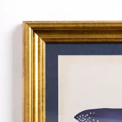 Kirklands Home Blue Stingray Framed Art Print Outlet