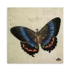 Kirklands Home Blue Vintage Butterfly Canvas Art Print Hot