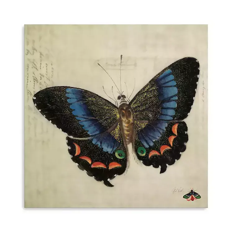 Kirklands Home Blue Vintage Butterfly Canvas Art Print Hot