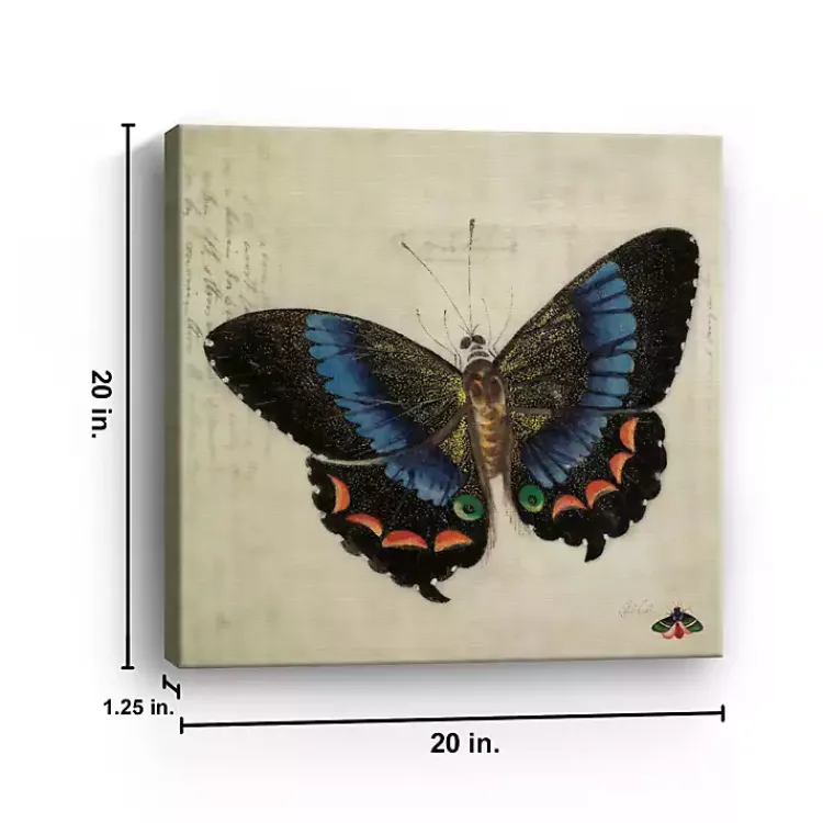 Kirklands Home Blue Vintage Butterfly Canvas Art Print Hot