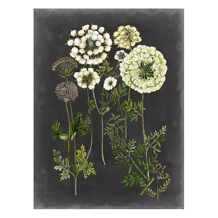 Kirklands Home Bookplate Floral II Giclee Canvas Art Print Outlet