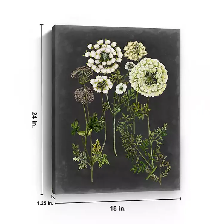 Kirklands Home Bookplate Floral II Giclee Canvas Art Print Outlet
