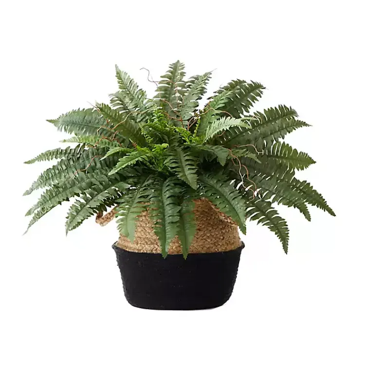 Arrangements & Greenery>Kirklands Home Boston Fern Arrangement in Woven Basket DIY Kit
