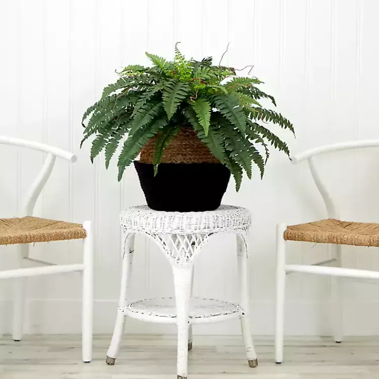 Arrangements & Greenery>Kirklands Home Boston Fern Arrangement in Woven Basket DIY Kit