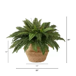 Arrangements & Greenery>Kirklands Home Boston Fern Arrangement in Brown Basket DIY Kit