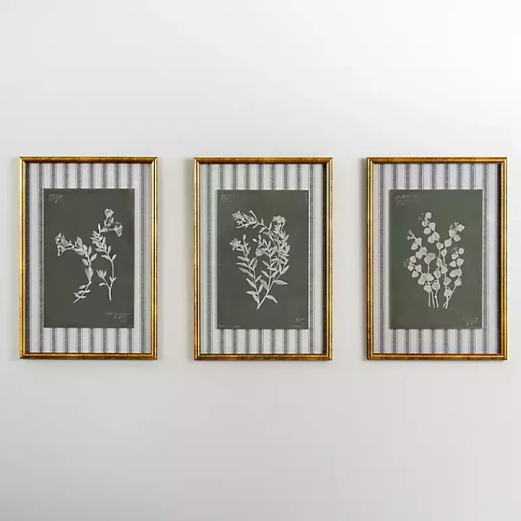 Kirklands Home Botanical Stripes I Framed Art Print