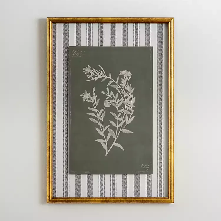 Kirklands Home Botanical Stripes II Framed Art Print Online
