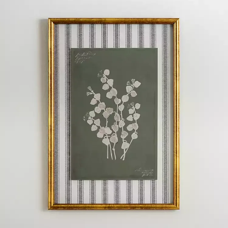 Kirklands Home Botanical Stripes III Framed Art Print Sale