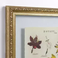Kirklands Home Botany Gold Framed Art Print Clearance