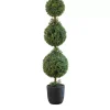 Trees & Topiaries>Kirklands Home Boxwood Triple Topiary in Decorative Black Pot