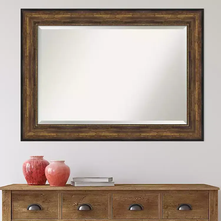 Kirklands Home Bronze Frame Beveled Mirror, 43.5x31.5 in. Discount