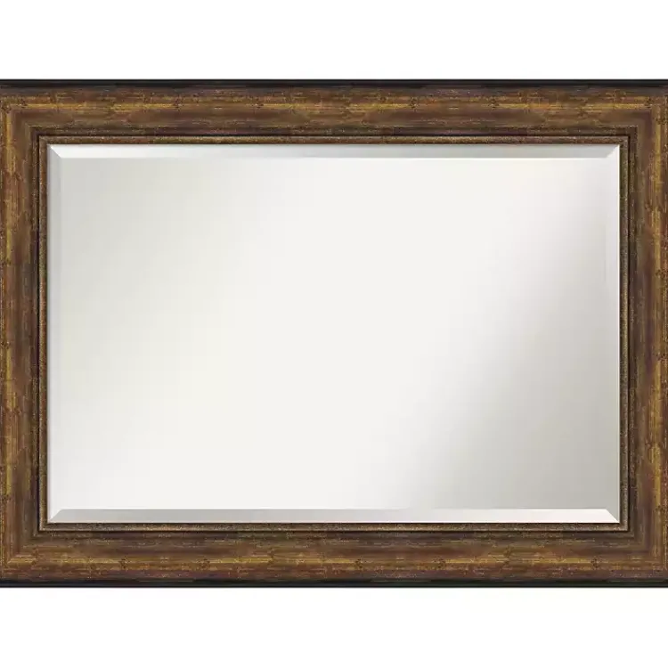 Kirklands Home Bronze Frame Beveled Mirror, 43.5x31.5 in. Discount