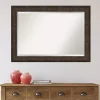Kirklands Home Bronze Panel Frame Beveled Mirror