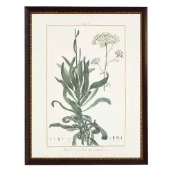 Kirklands Home Bupleurum Greenery Black Beaded Framed Art Print Clearance