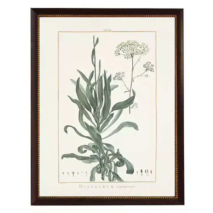 Kirklands Home Bupleurum Greenery Black Beaded Framed Art Print Clearance