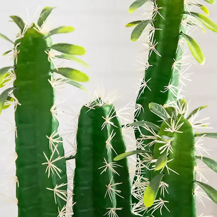 Arrangements & Greenery>Kirklands Home Cactus in Terracotta Planter Green