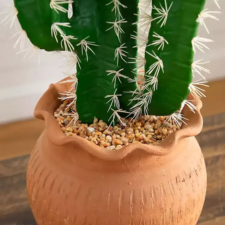 Arrangements & Greenery>Kirklands Home Cactus in Terracotta Planter Green