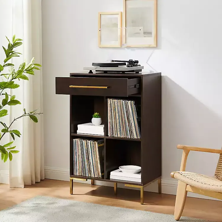 Kirklands Home Cadence Gold Record Storage Bookcase New