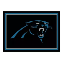 Kirklands Home Carolina Panthers Area Rug, 4x6 Black Clearance