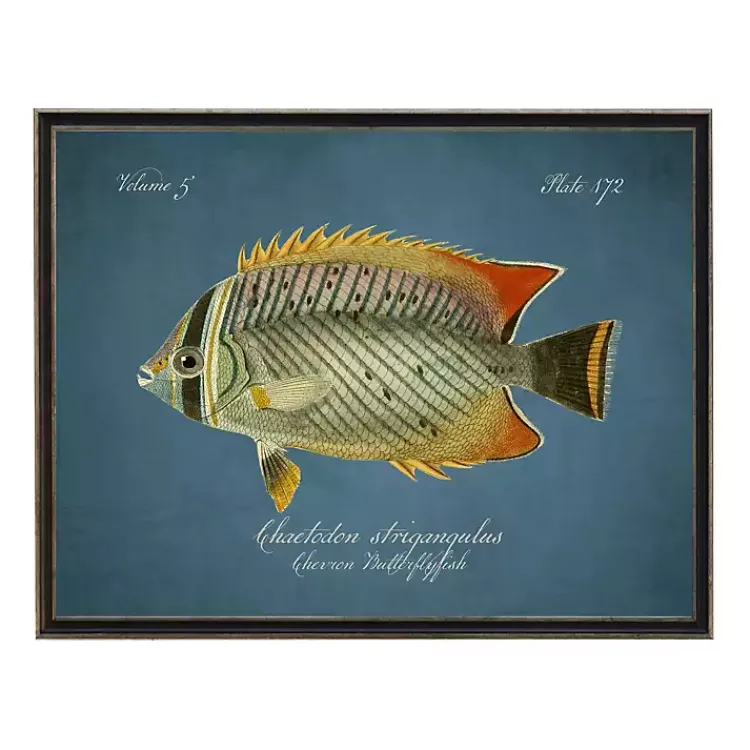 Kirklands Home Chevron Butterflyfish Framed Wall Art Blue Discount