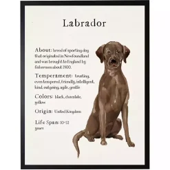 Kirklands Home Chocolate Labrador Facts Framed Wall Plaque Best