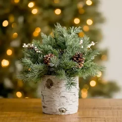 Arrangements & Greenery>Kirklands Home Christmas Pine Arrangement in Birch Vase Green