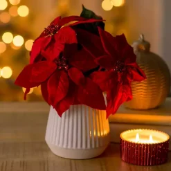 Arrangements & Greenery>Kirklands Home Christmas Poinsettia Arrangement Red