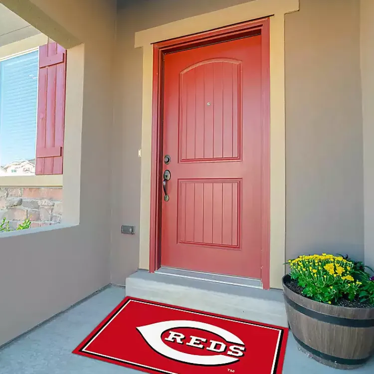 Kirklands Home Cincinnati Reds Spirit Rug, 3x4 Best