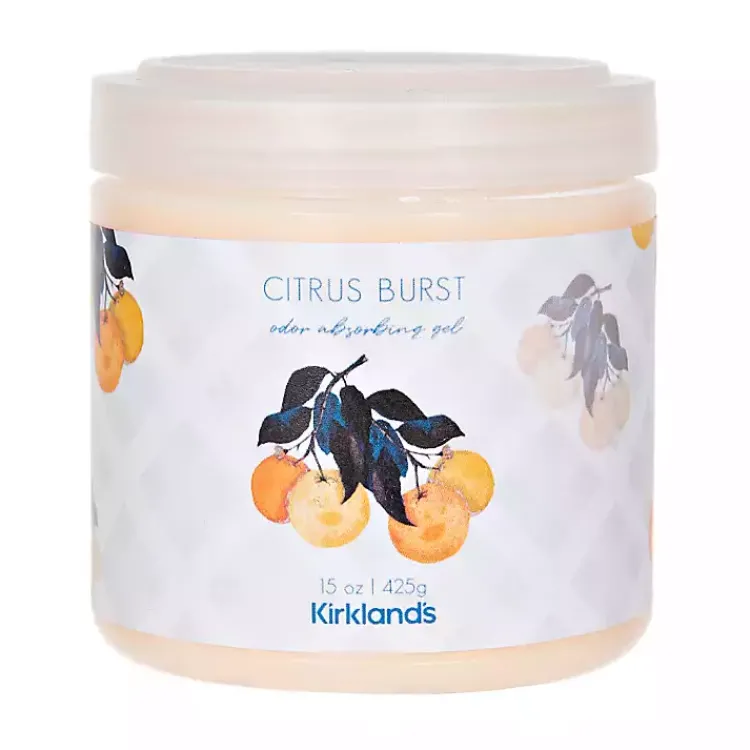 Home Fragrance>Kirklands Home Citrus Burst Odor Absorber Orange