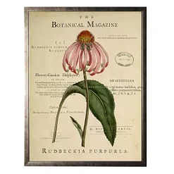 Kirklands Home Coneflower Botanical Magazine Framed Art Print Multi Discount