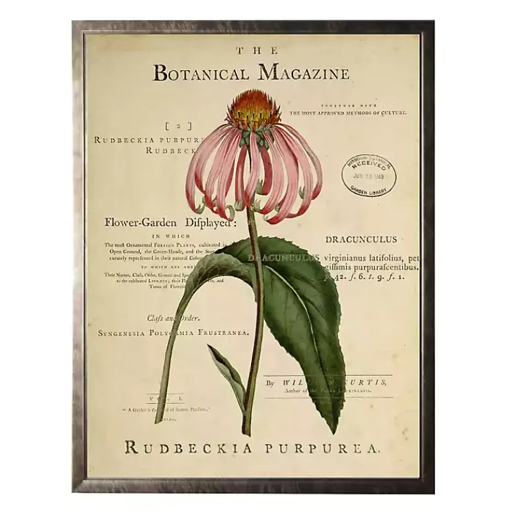 Kirklands Home Coneflower Botanical Magazine Framed Art Print Multi Discount