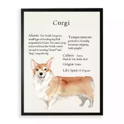 Kirklands Home Corgi Facts Framed Wall Plaque White Best