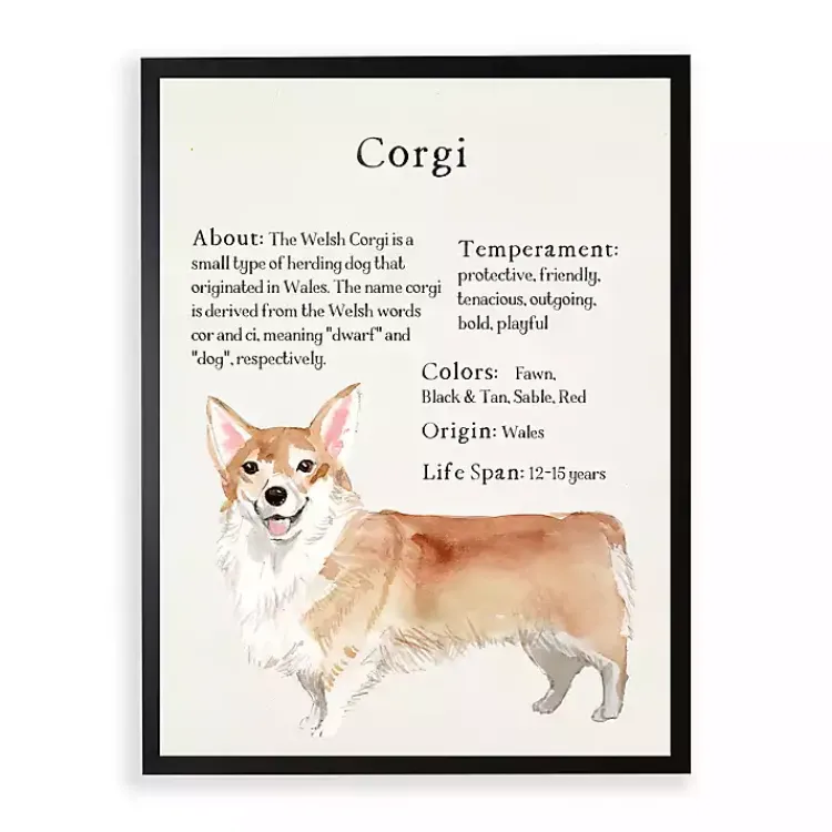 Kirklands Home Corgi Facts Framed Wall Plaque White Best
