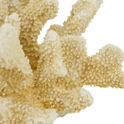 Statues & Figurines>Kirklands Home Cream Coral Resin Statue Ivory