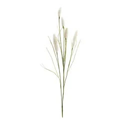 Stems & Bouquets>Kirklands Home Cream Foxtail Sprays, Set of 6 White