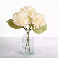 Arrangements & Greenery>Kirklands Home Cream Hydrangea Arrangement in Glass Vase Ivory