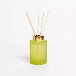 Home Fragrance>Kirklands Home Cucumber Cactus Diffuser Set Green