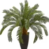 Trees & Topiaries>Kirklands Home Cycas Floor Plant in Tall Black Planter, 30 in.